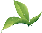 Услуги Gorkhs Plant 1443482